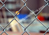 Chain Link Fence