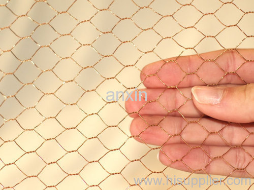 hexagonal wire mesh fencings