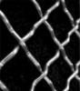 Crimped Wire Mesh