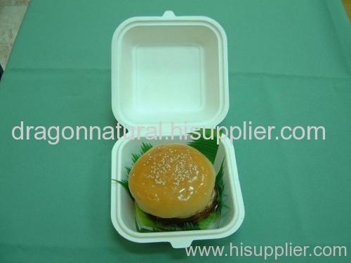 Biodegradable Disposable Sugarcane Pulp Food Box