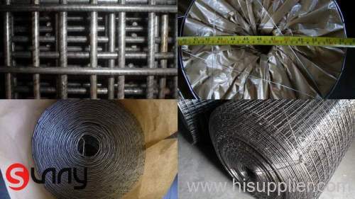 Welded Wire Mesh