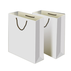 White Paper Carrier Bags