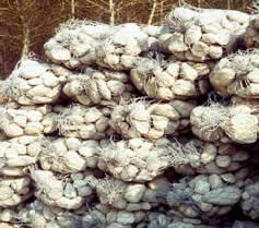 Gabion Sacks