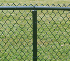 PVC Coated Chain Link Fence