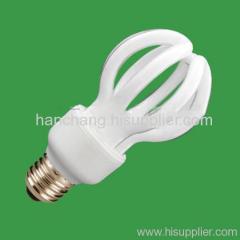 LH Energy Saving Bulb