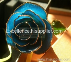 24k gold rose