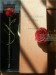 Valentine's Day Gift 24k gold plated rose