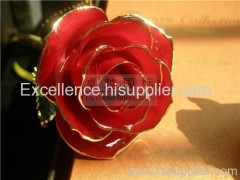 Valentine's Day Gift /24k gold rose/real rose
