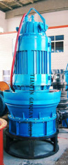 submersible axial flow pumps