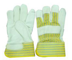 gloves