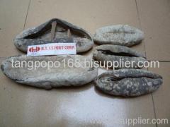 Dried Sea Cucumber