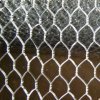 hexagonal wire mesh