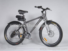 Electric Bicycle