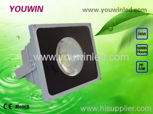 30W LED Flood Light