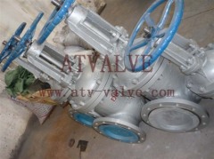 gate valve