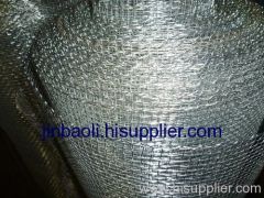 Galvanzied Steel Wire Mesh