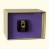 Fingerprint Safe