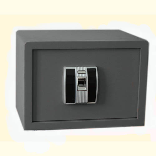 Fingerprint safe