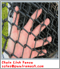 PVC coated chain link fence