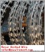 galvanized razor barbed wire