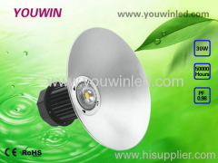 30W LED industrial lighting