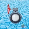 PVDF Butterfly Valve