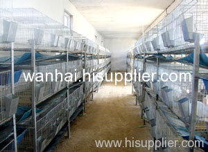 poultry farm layer chicken cage