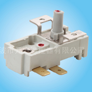 Oil Heater Thermostat