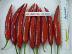 red chilli