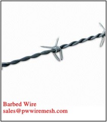 Galvanized Barbed Wire