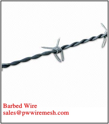 hot dipped galvanized barbed wire