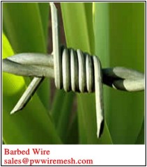 Galvanized Barbed Wire