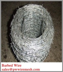 Galvanized Barbed Wire