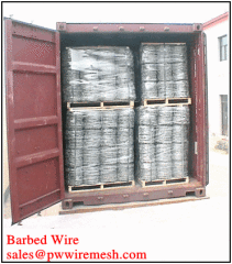 Galvanized Barbed Wire