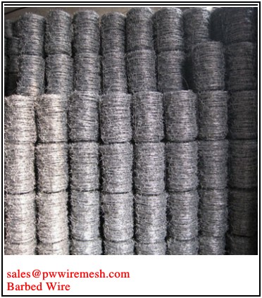 galvanized barbed wire fence