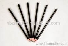 Black Lead Plastic Pencil