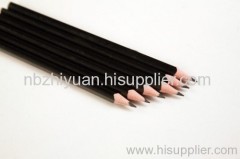 Black Lead Plastic Pencil