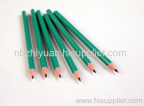 HB Plastic Pencils