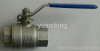 Stainless Steel Two Piece Ball Valve