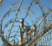 Welded Razor Wire Fence