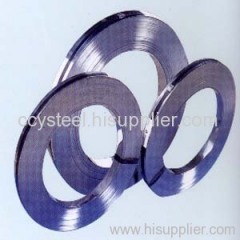 stainless steel strip