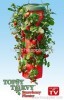strawberry planter