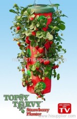 Strawberry Planter