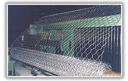 hexagonal wire mesh