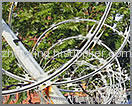 razor wire fencing