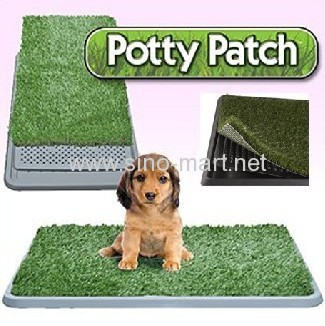 Potty Patch