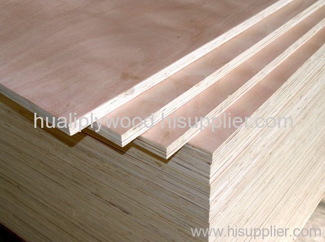 China commercial Plywood supplier