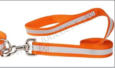 pet color training leash