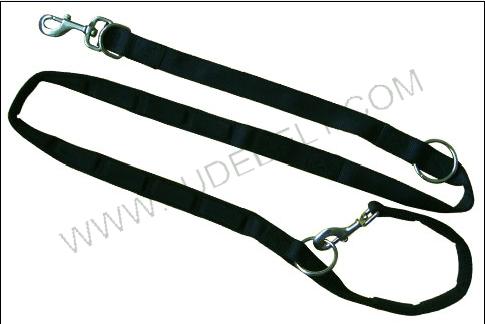 outdoor pet activities leash