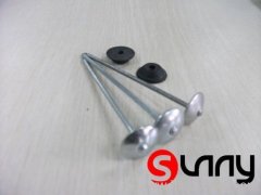 Roofing Nails with umbrella head